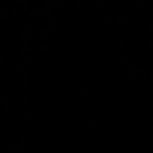 Meet your Posher, Noah